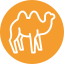 icons8-camel-64